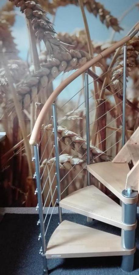 Apartment Am Park โอลเดนบวร์ก ภายนอก รูปภาพ